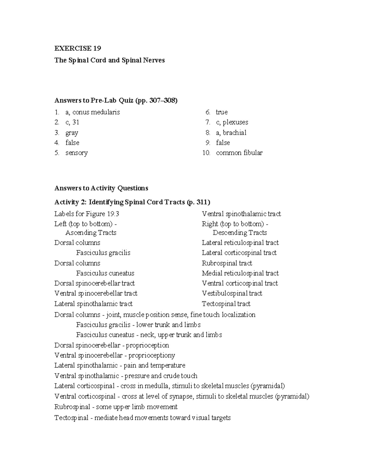 Assignment 19: Spinal Cord Anatomy and Neural Structures - Studocu