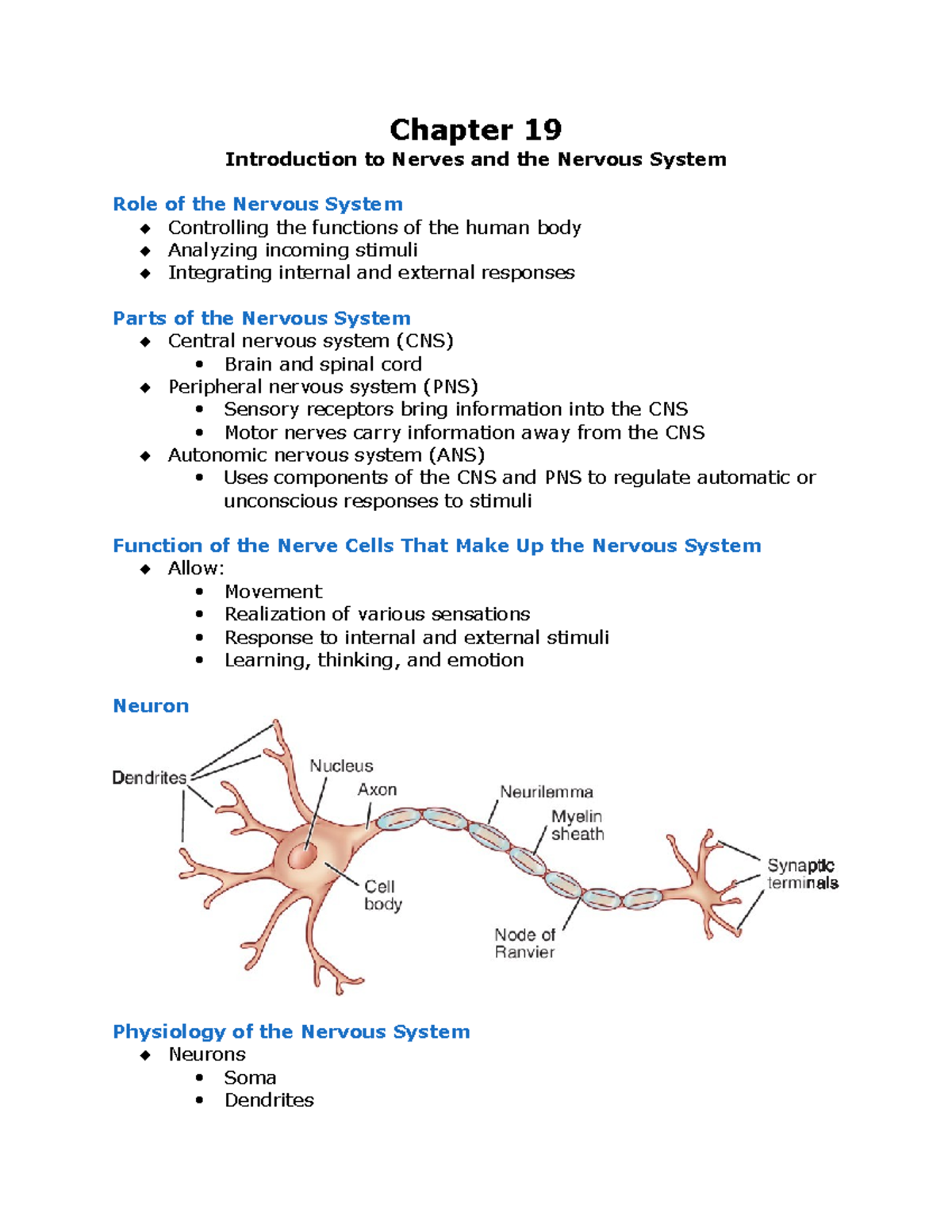 Pharm 19: Nervous System Overview and Key Functions Study Guide - Studocu