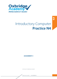 computer practice n4 - Studocu