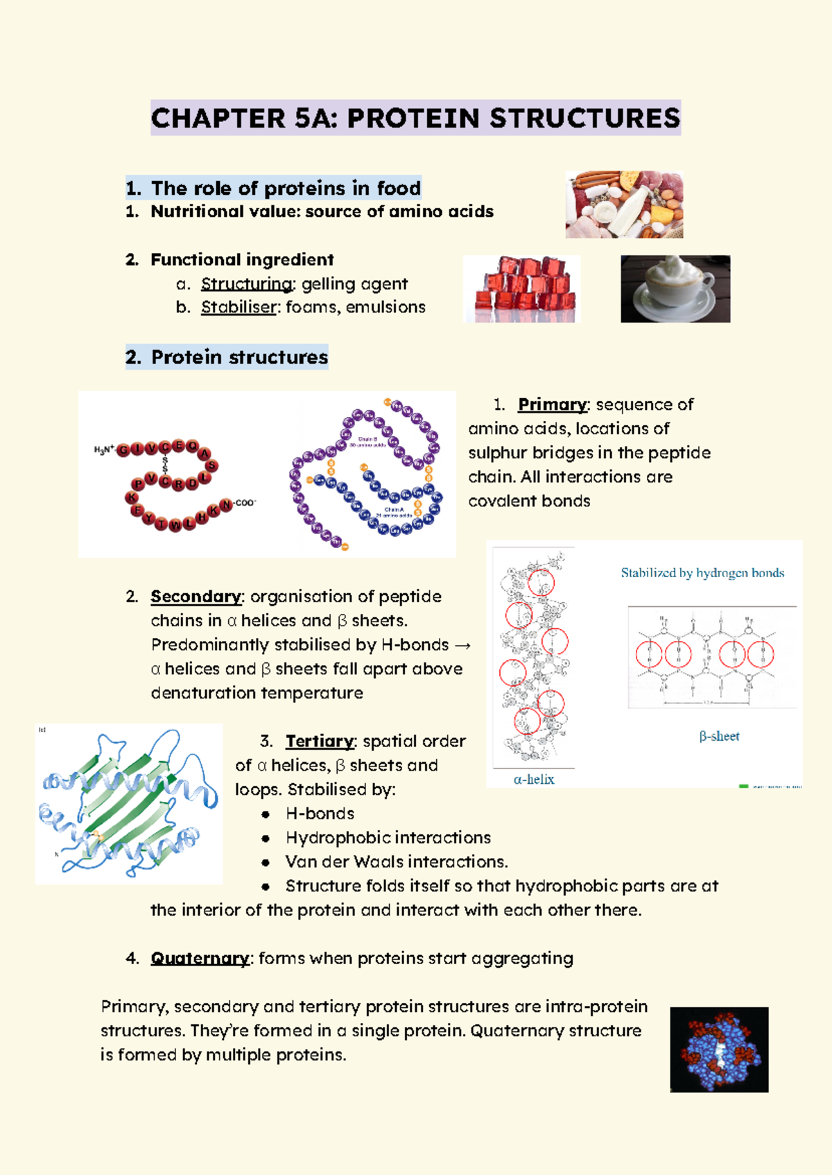 Food Physics: Chapter 5 - Protein Structures and Solubility Analysis ...