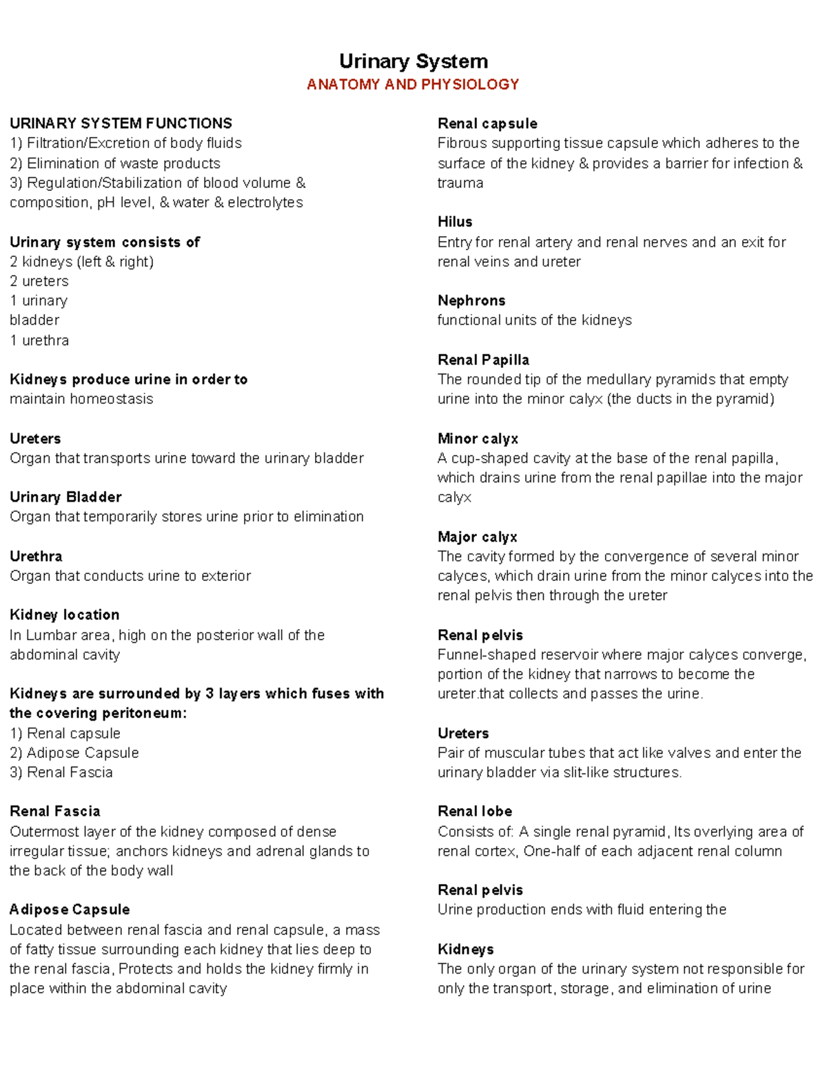 Anatomy and Physiology of the Urinary System - A Comprehensive Overview ...