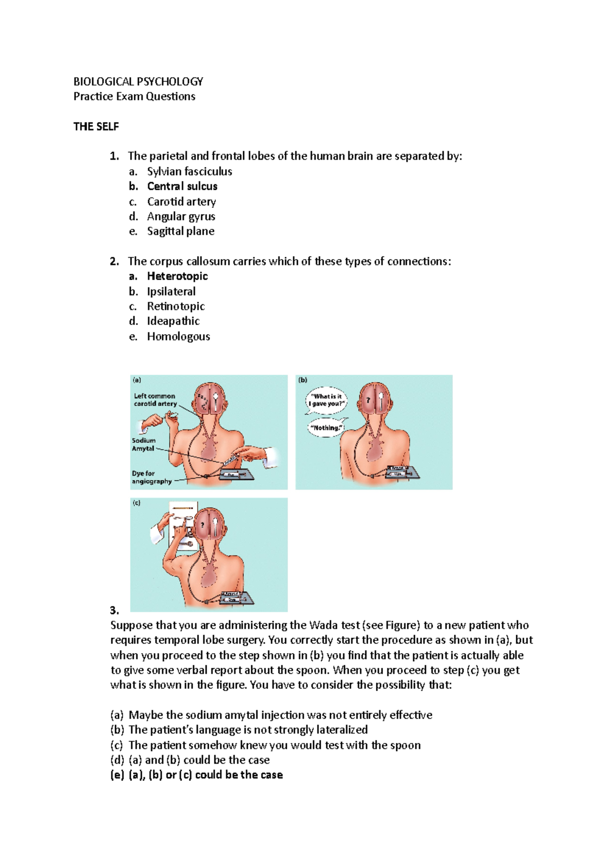Biological Psychology Practice Questions for Exam Preparation - Studocu