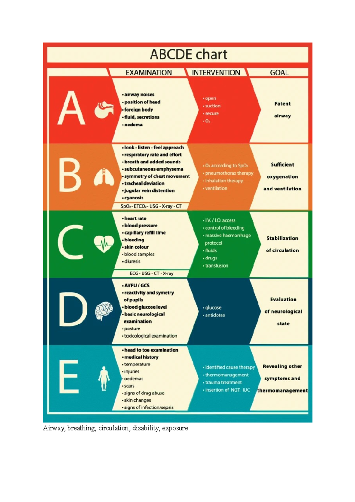 DRS ABCDE And SBAR Assessment Notes SEH 1 Guide Studeersnel