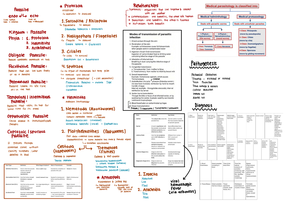 Intro to Parasitology 2: Understanding Parasite Relationships and Types ...