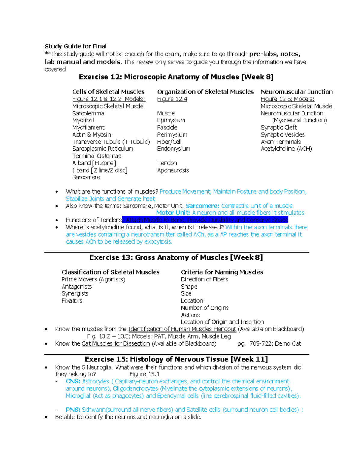 Study Guide for Final Exam: Muscles and Nervous System (32) - Studocu