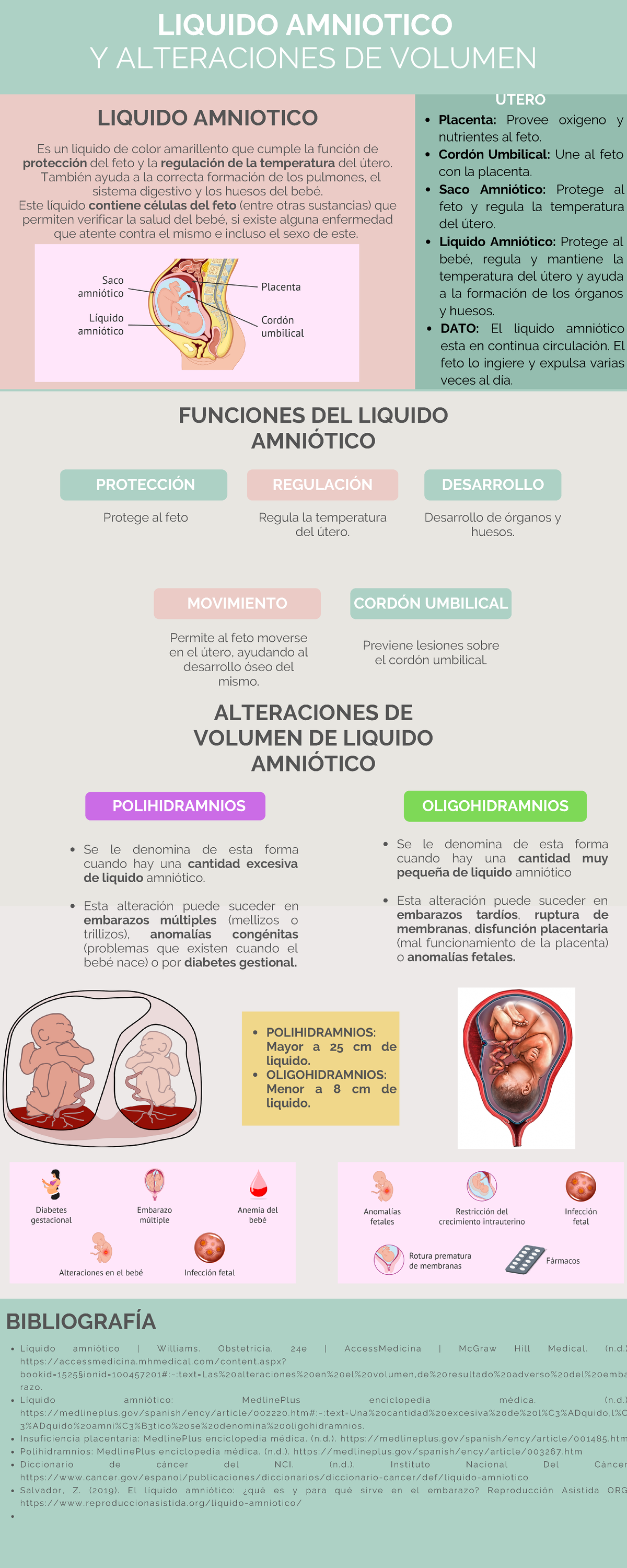 Infografía sobre Líquido Amniótico y sus Alteraciones - Laboratorio ...