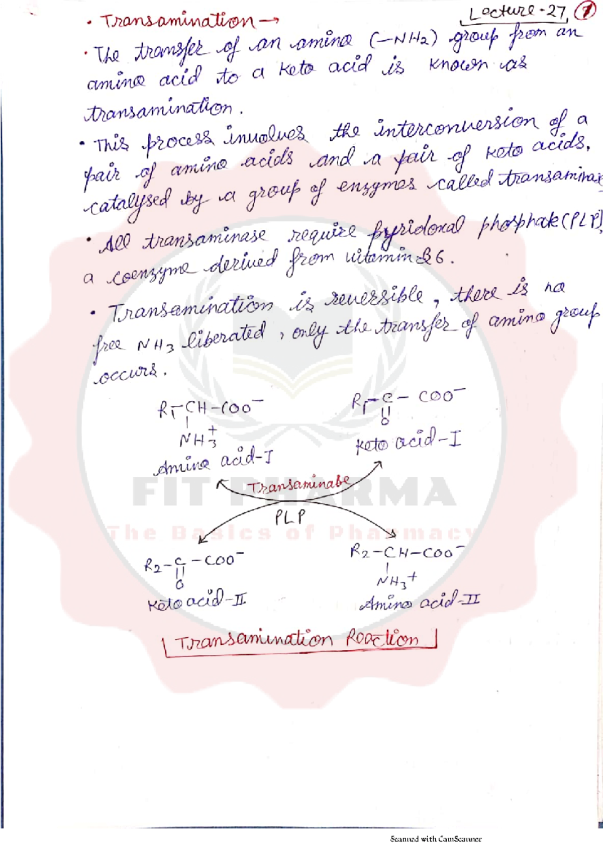 27-Transamination and Deamination - Transamination Lecture. 1 The ...