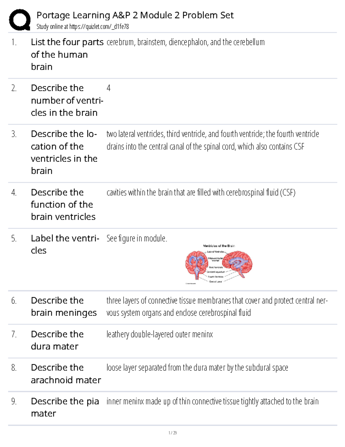 BIOD 152 Exam 2 - Practice Questions on Brain Anatomy and Function ...