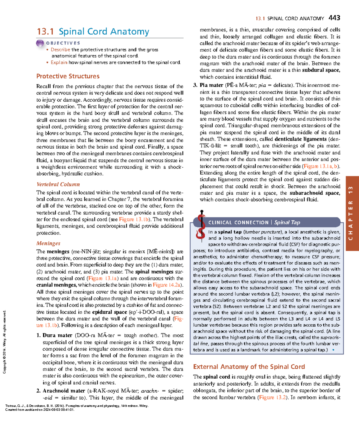 Anatomy of the Spinal Cord and Nerves - Principles of Anatomy ...
