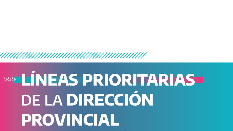 Lineas Prioritarias 2024-2027 (1)-comprimido (1) 0 - LÍNEAS ...