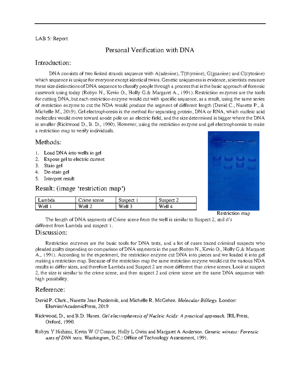 BIOL 201 Lab 5 - DNA Analysis Report Using Restriction Enzymes - Studocu