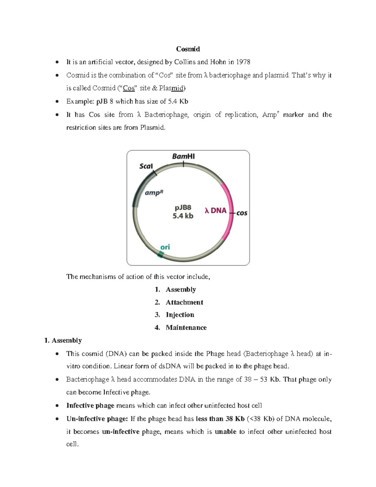 Cosmid-1 - ;kmml; - Cosmid It is an artificial vector, designed by ...
