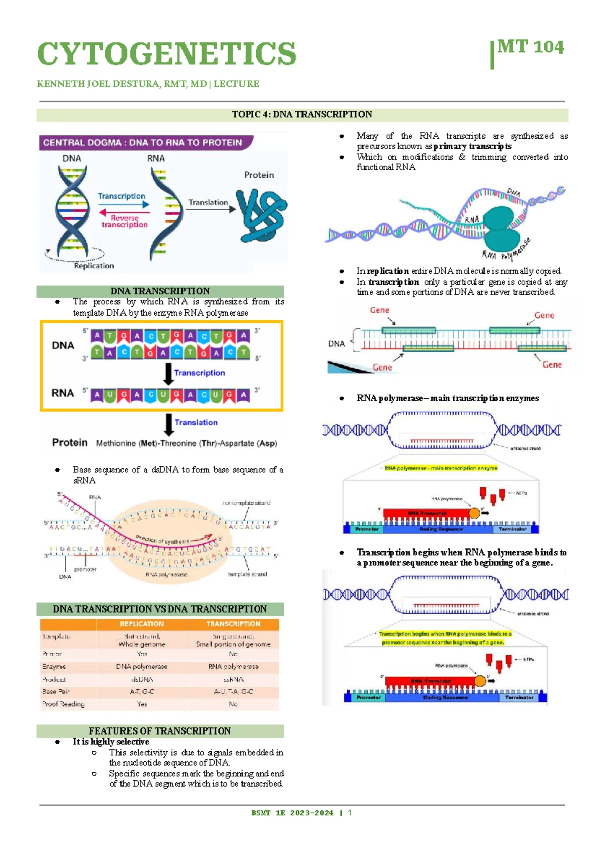 Cytogen- Topic 3-THE Biochemical Basis OF Heredity - CYTOGENETICS | MT ...