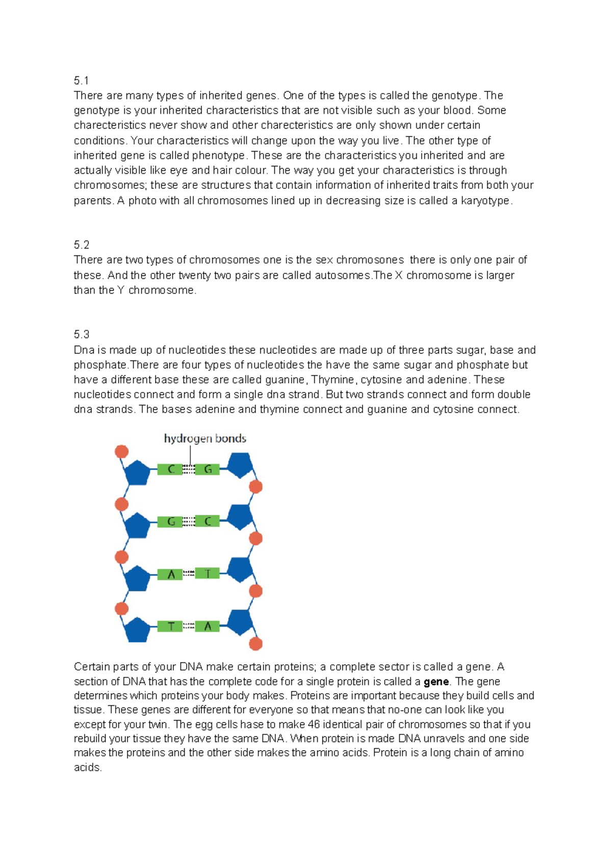 Bio - DNA Samenvatting: Genotype, Phenotype, Chromosomes & Nucleotides ...