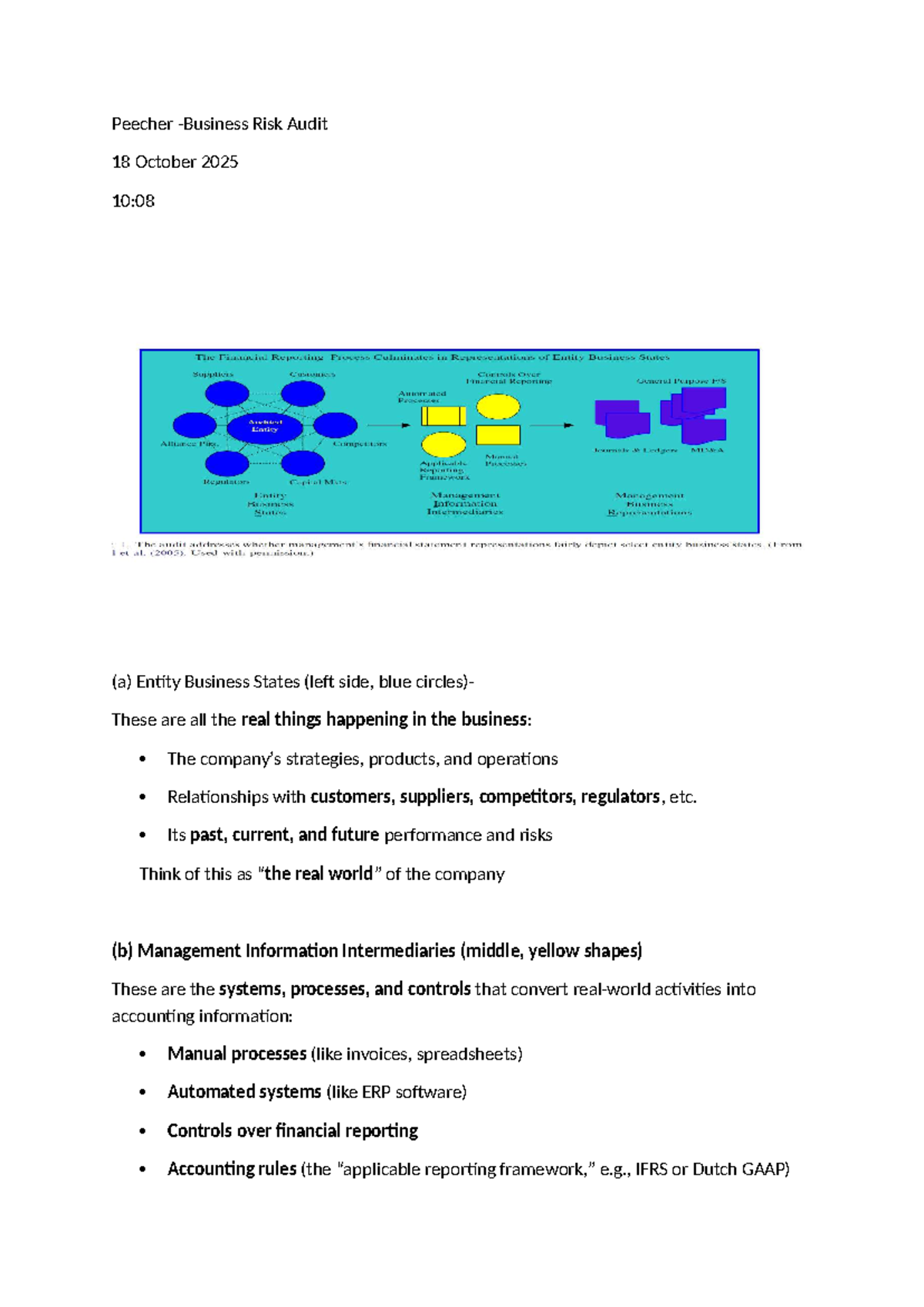 Peecher Risk Audit Notes: Understanding SSA Approach and Evidence ...