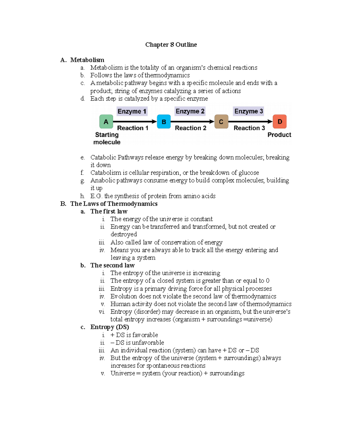 Chapter 8 Outline: Metabolism and Enzymes - BIOL 1201 LiCata - Studocu