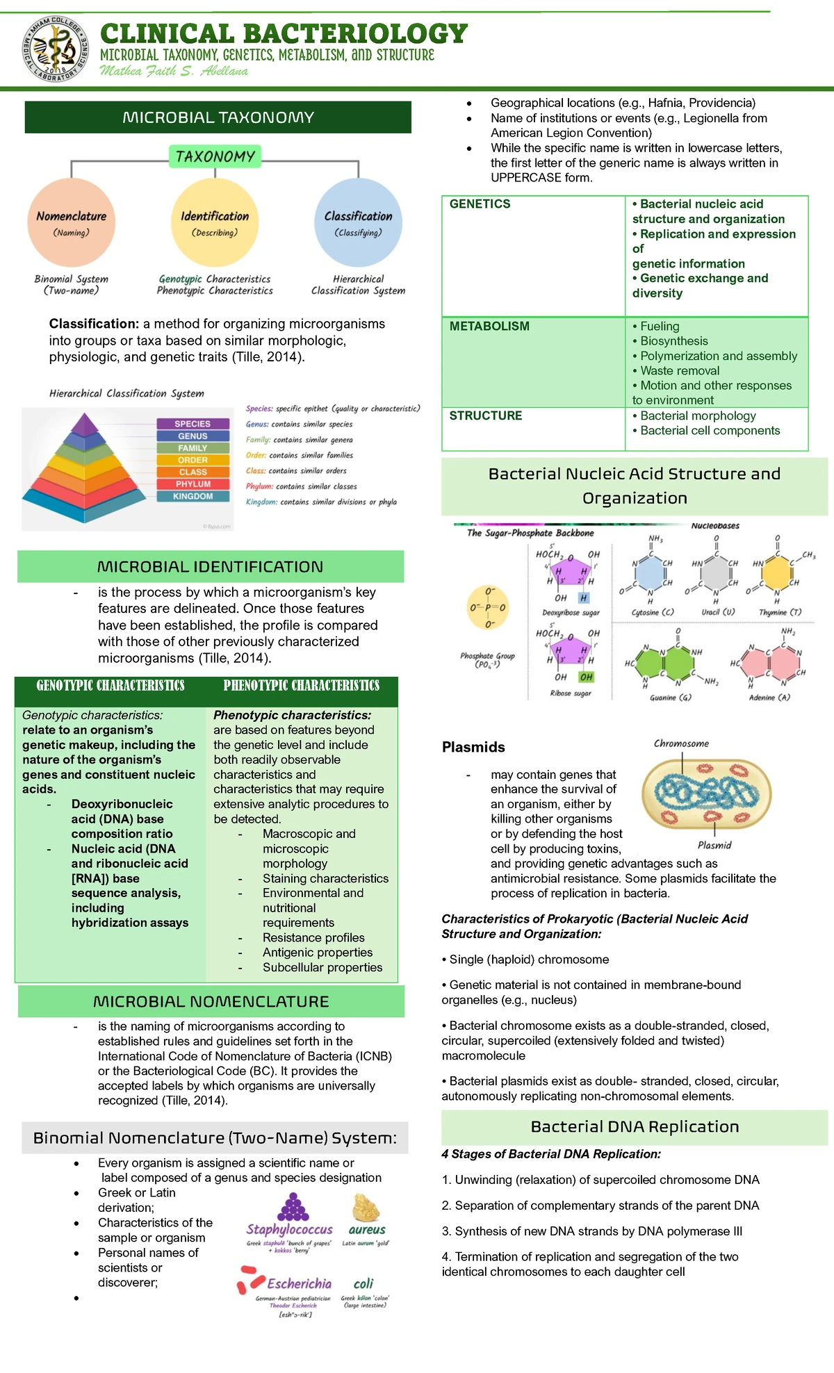 HEMA-2: Topic 02 - Leukemia and Related Disorders Lecture Notes - Studocu