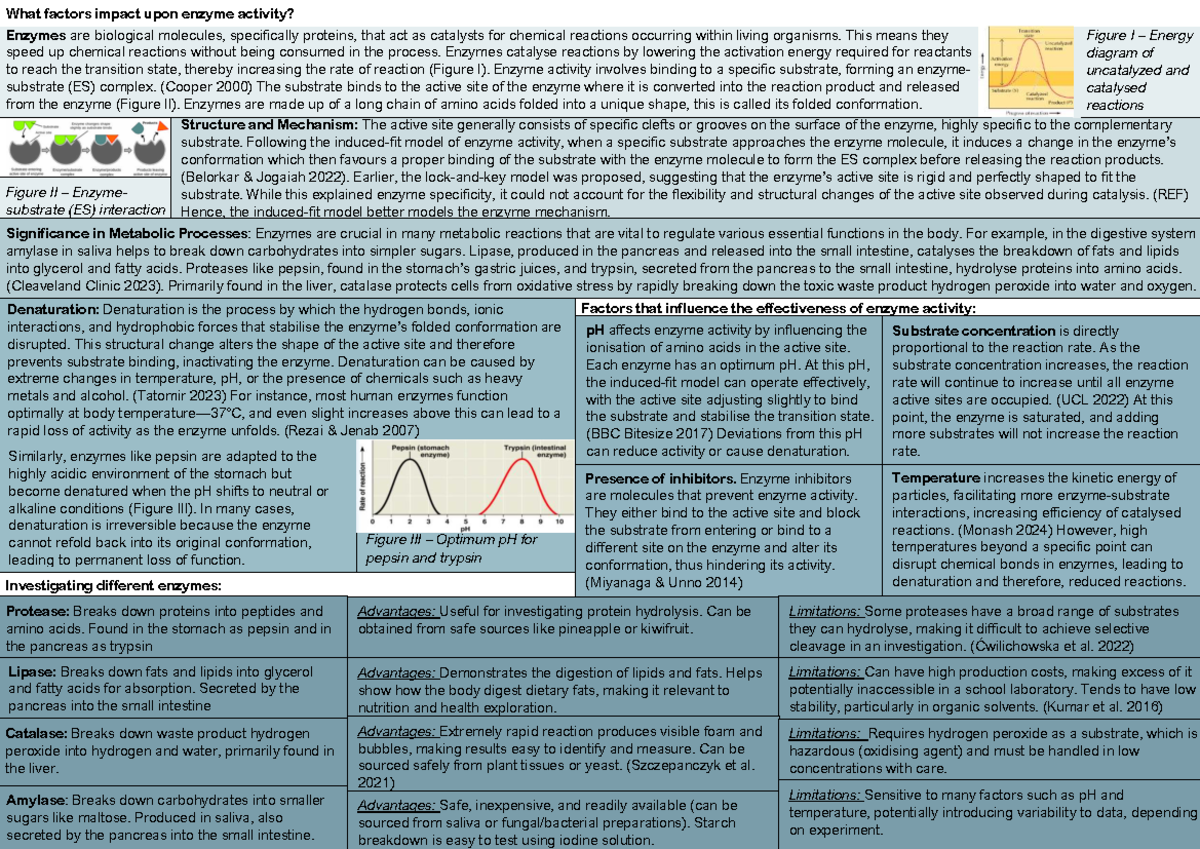 Biology D&D: Factors Influencing Enzyme Activity and Catalysis - Studocu