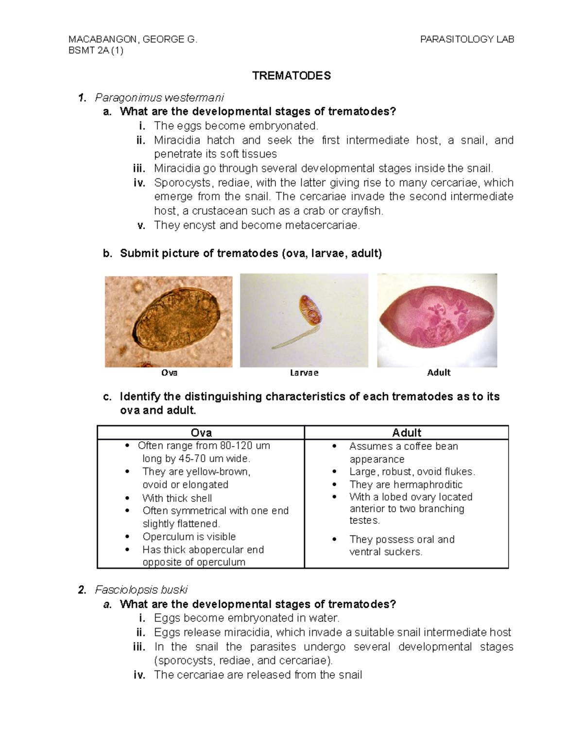 BSMT 2A: Comprehensive Overview of Trematodes in Parasitology - Studocu