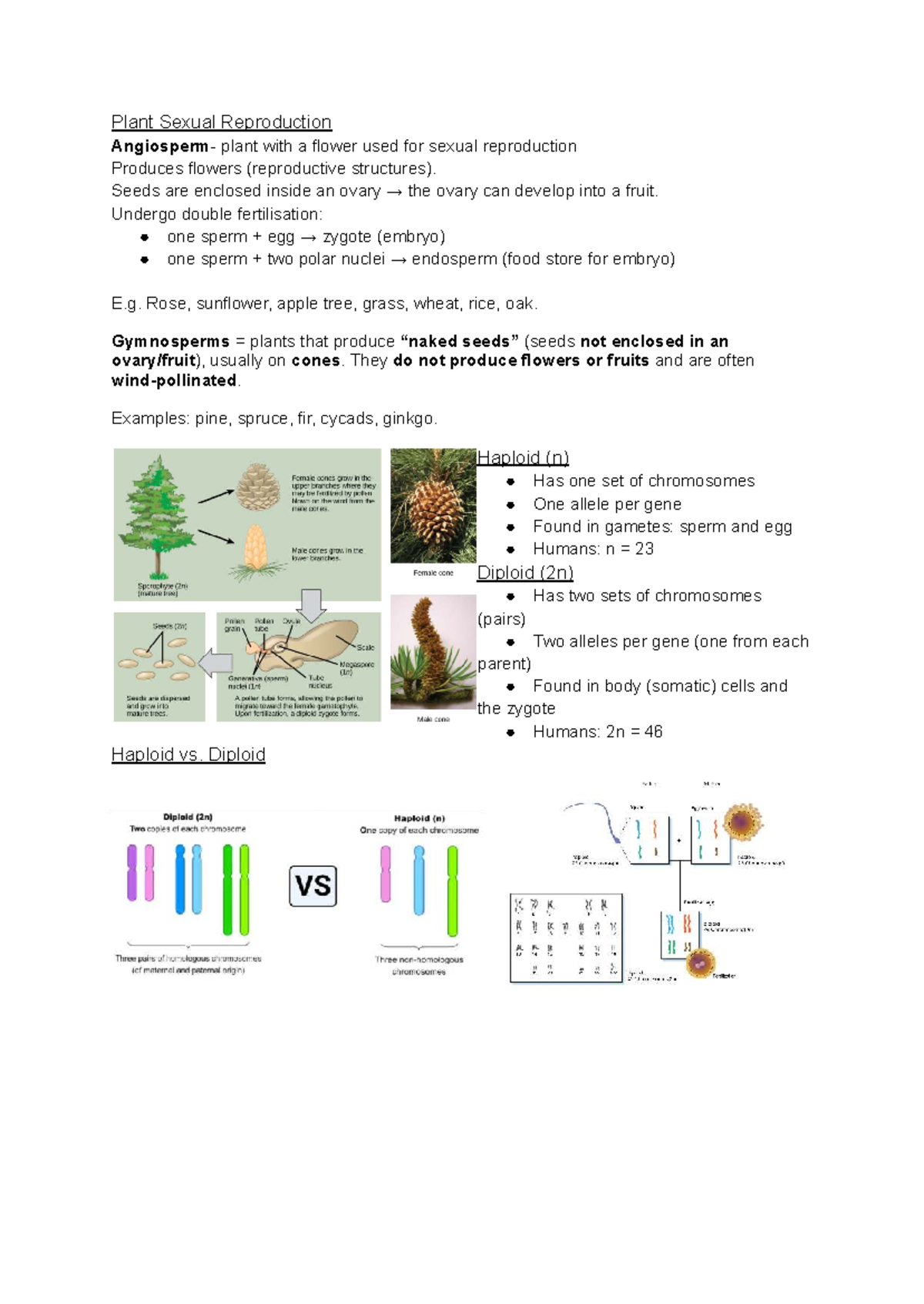 Module5 plant reproduction - Plant Sexual Reproduction Angiosperm ...