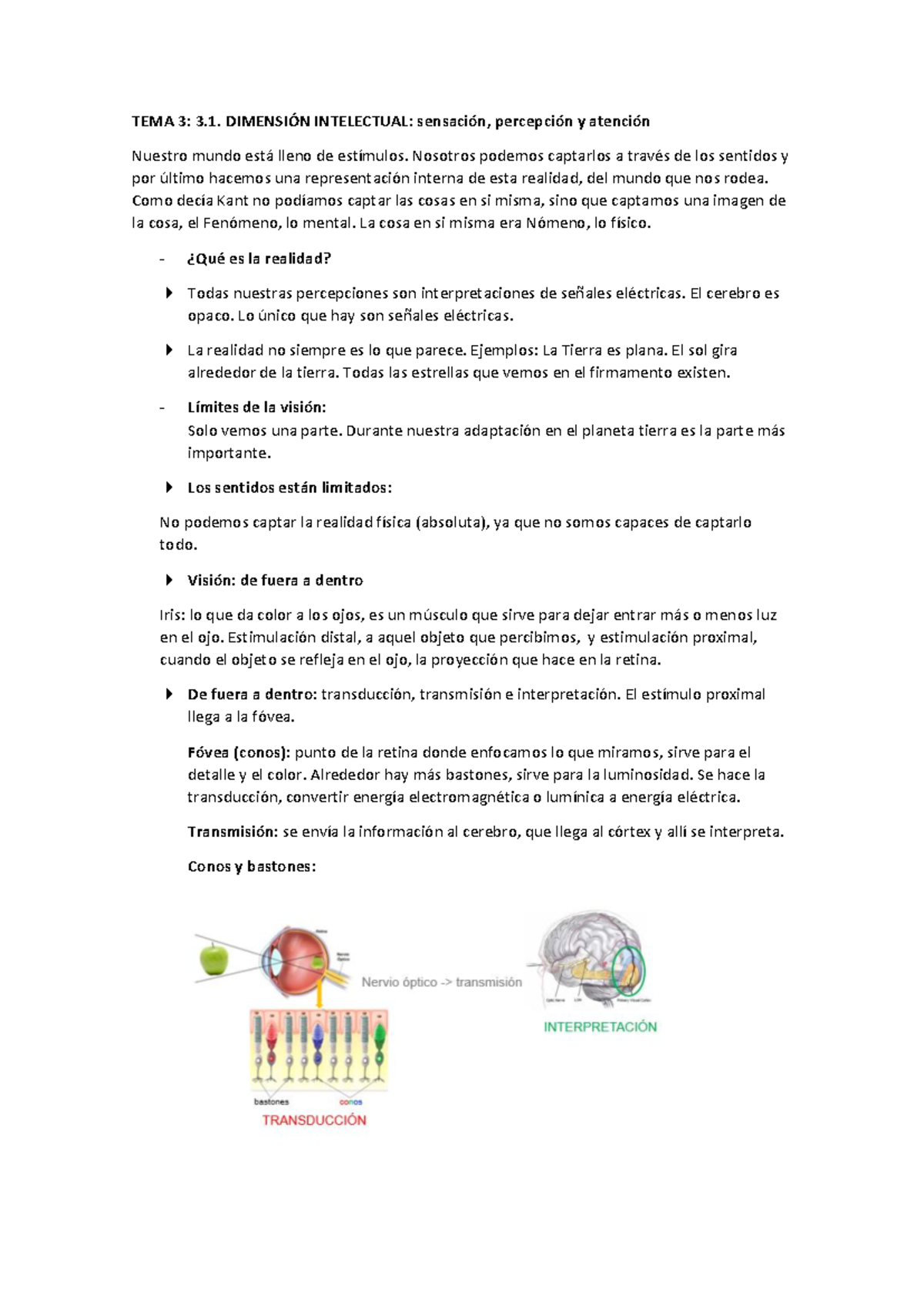 TEMA 3.1: DIMENSIÓN INTELECTUAL - Sensación, Percepción y Atención ...