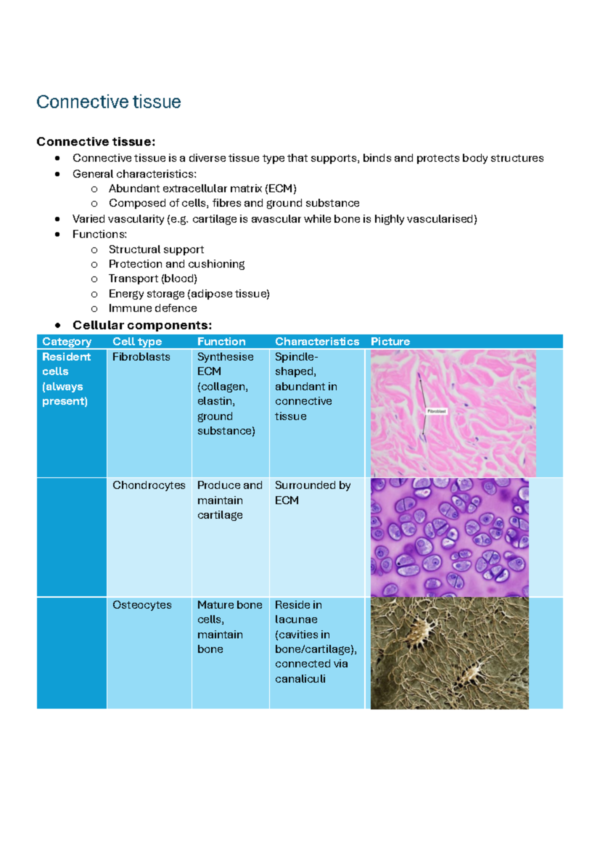 Connective Tissue Overview: Types, Functions, and Cellular Components ...