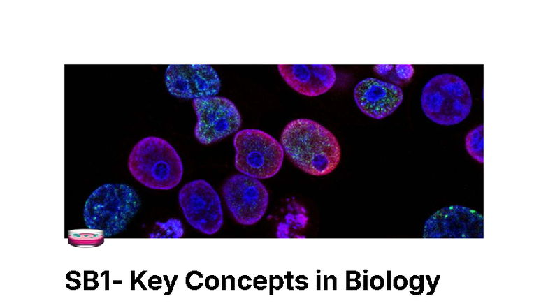 SB1 - Key Concepts in Basic Biology: Prokaryotic & Eukaryotic Cells ...
