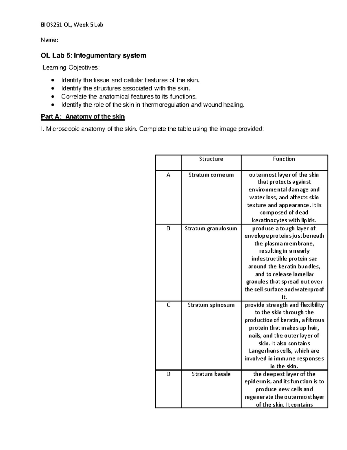 OL Lab 5: Integumentary System Overview and Functions Analysis - Studocu