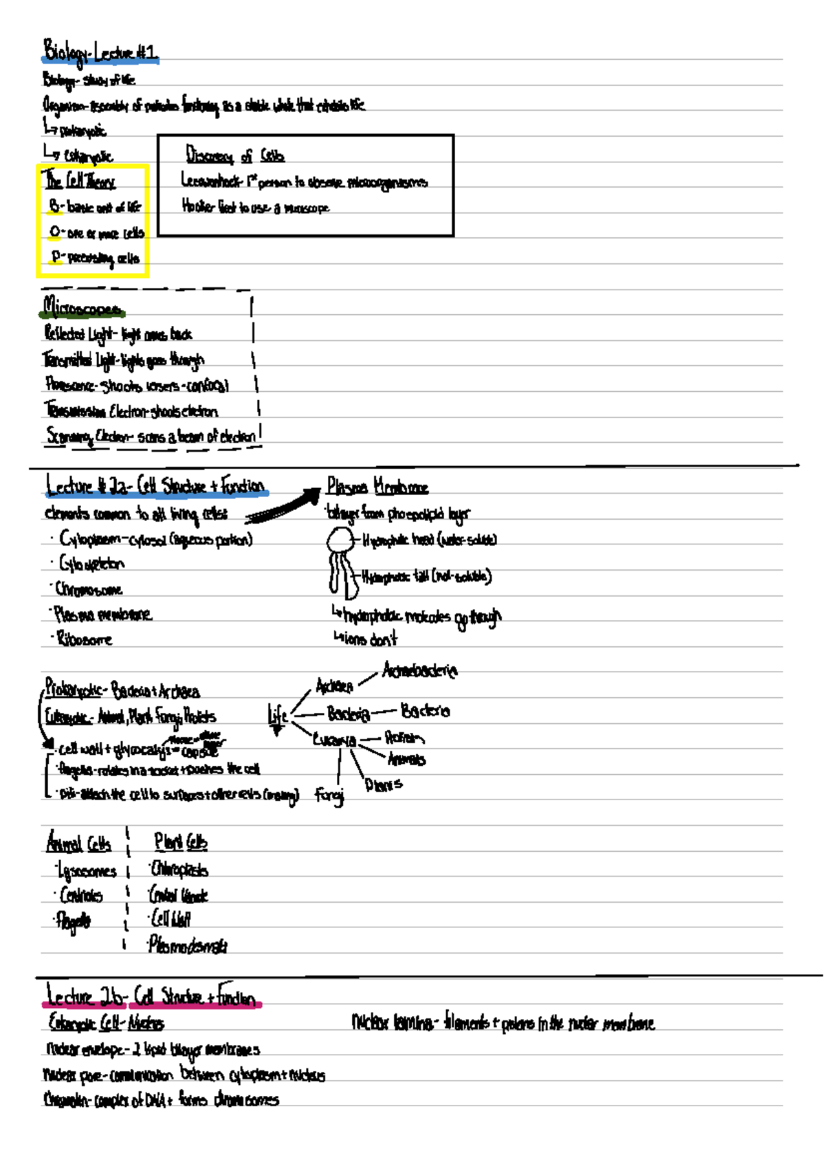 Bio 101 Midterm Study Guide and Review - Studocu