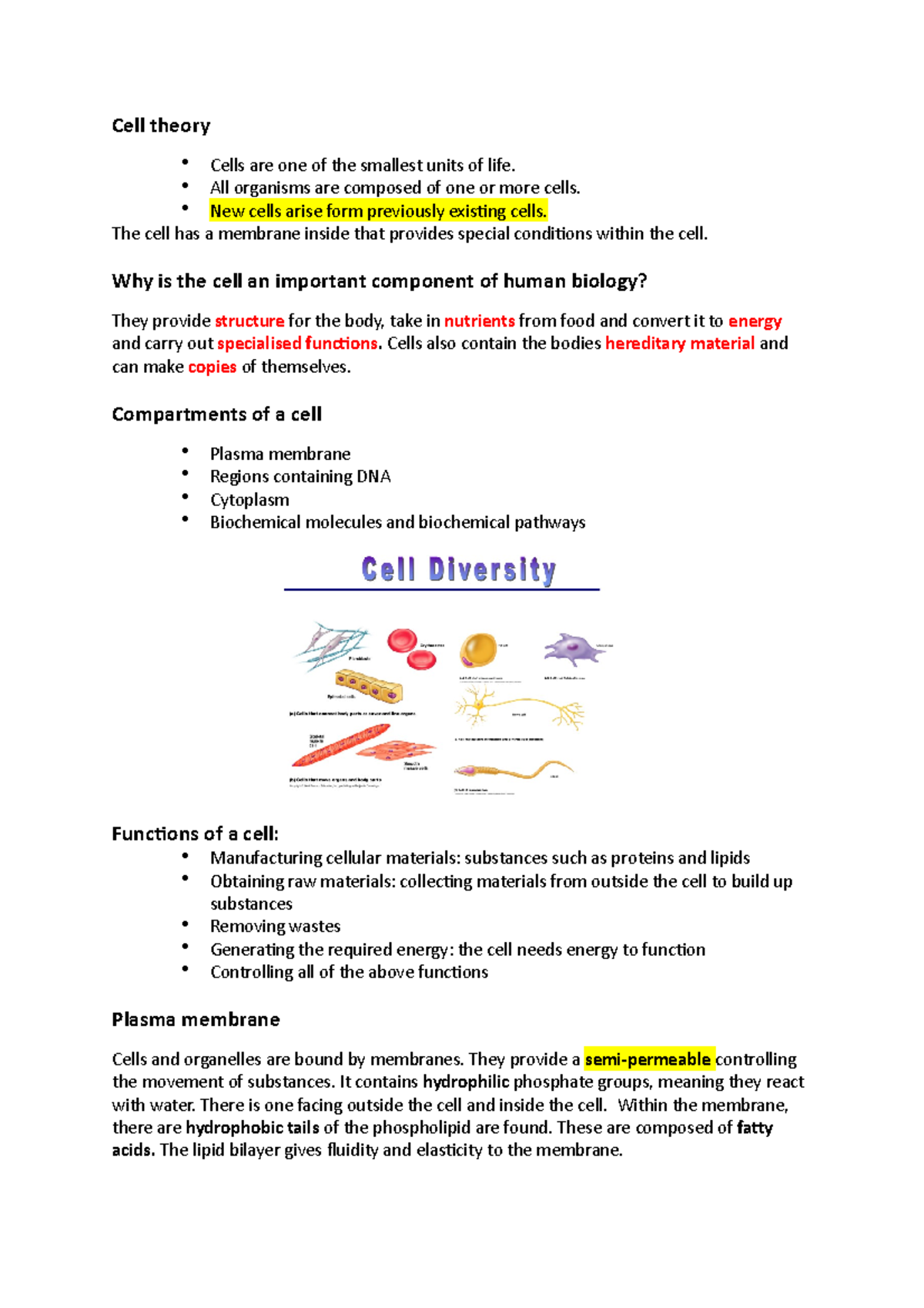 Lecture 1: Introduction to Human Cell Structure and Function - Studocu