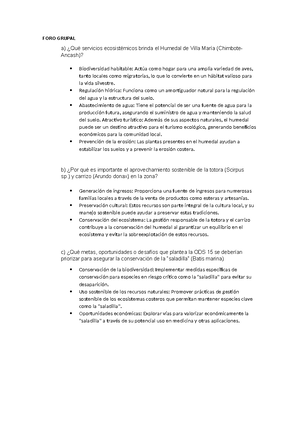 Manual de Acciones Sostenibles ODS (3): Contaminación en Trujillo - Studocu