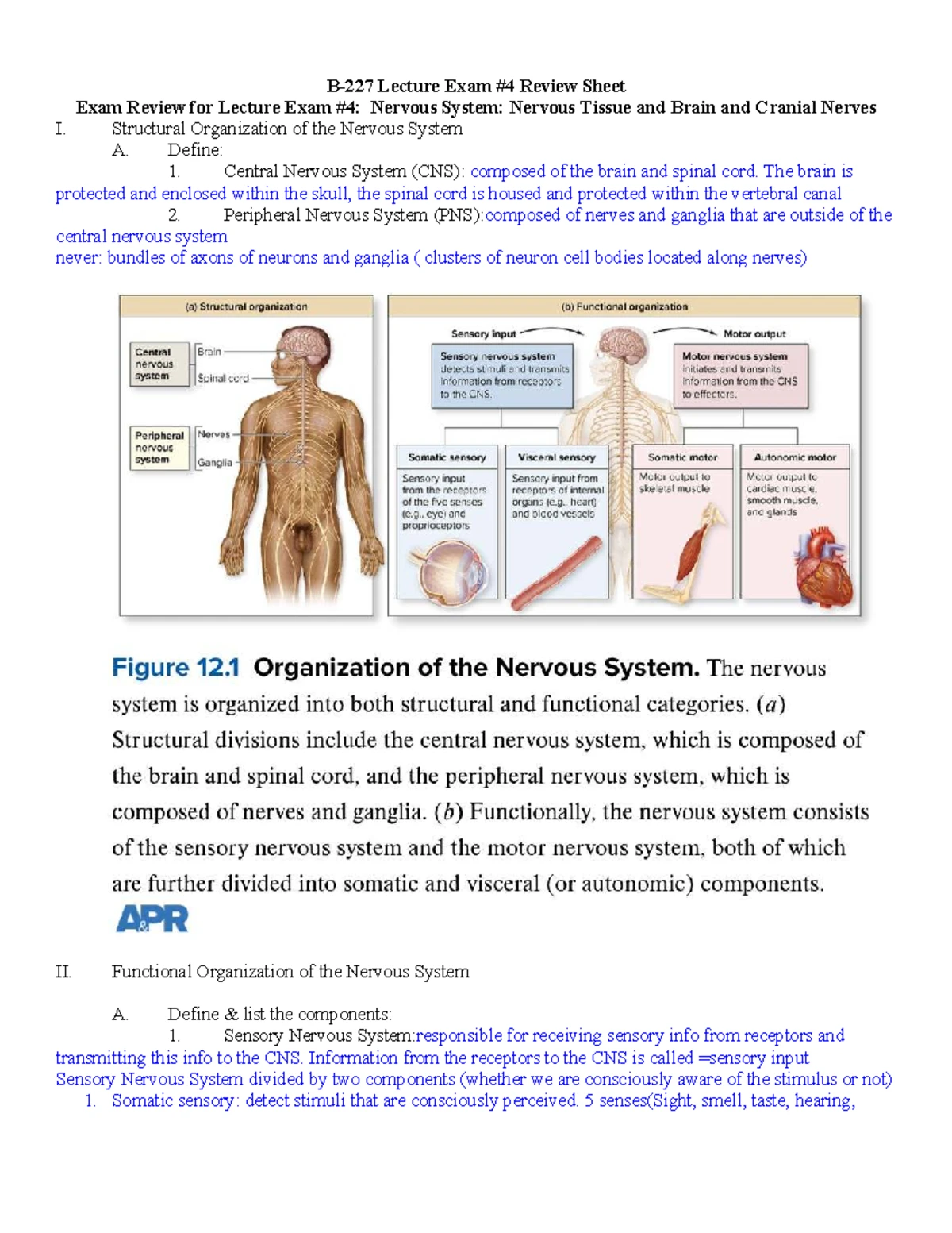 Comprehensive Overview of Nervous System & Brain Function (BIO101 ...