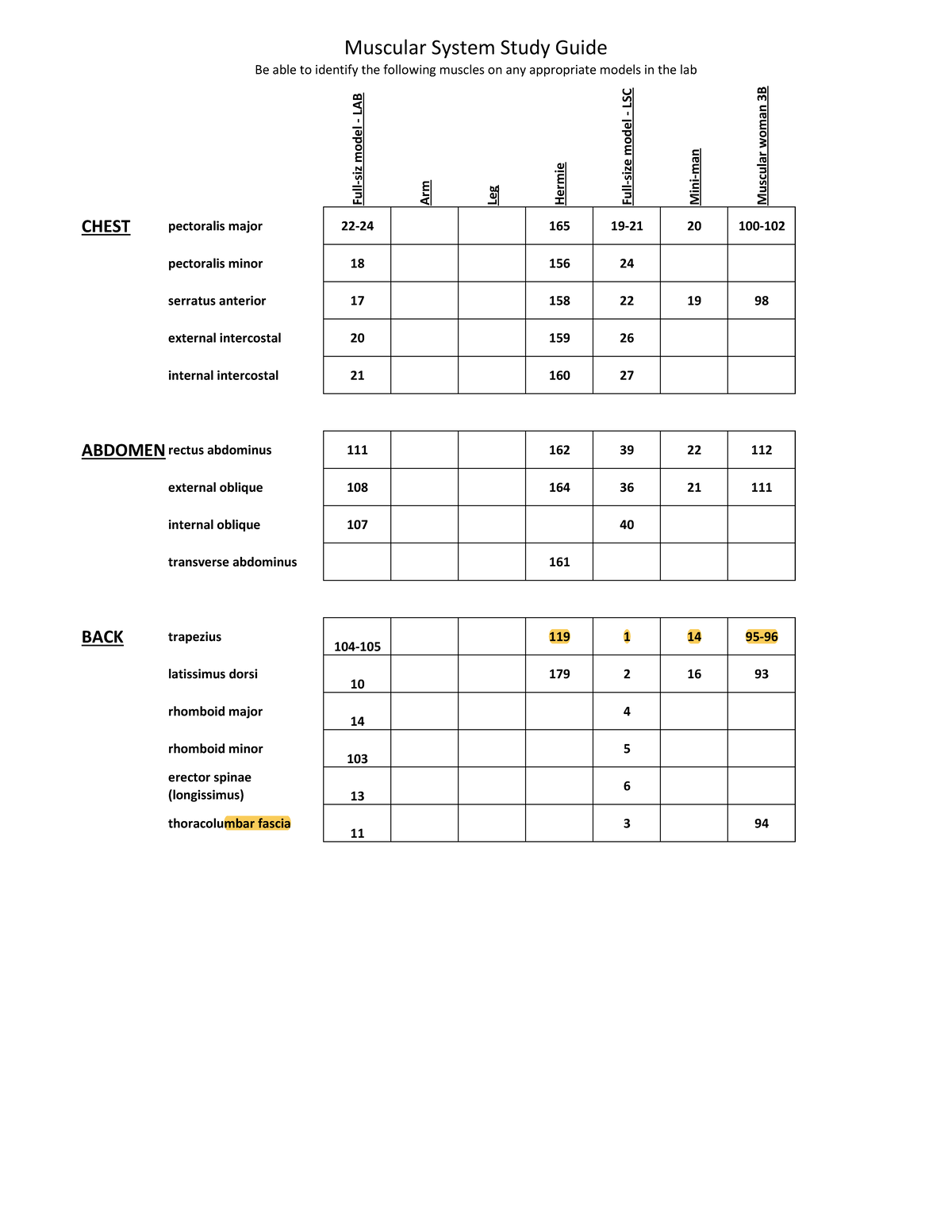 Muscular System Study Guide - LSC Course - Studocu