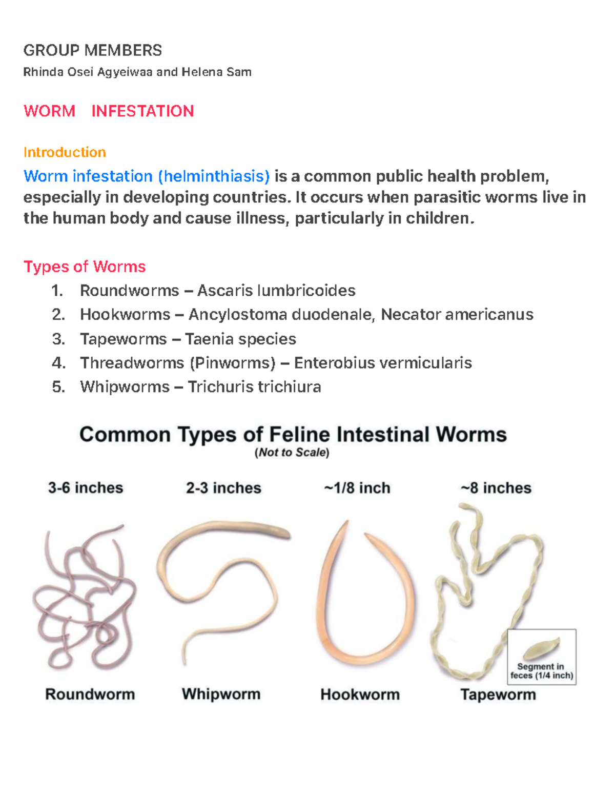 WORM Infestation - Summer Study Notes on Helminthiasis - Studocu