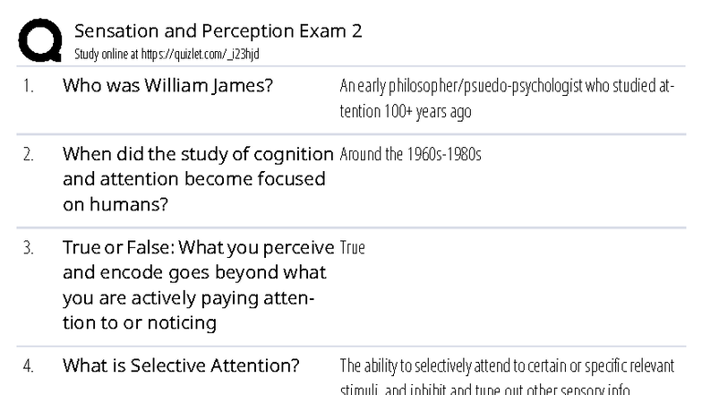Sensation and Perception Exam 2 Study Notes - PSY 300 - Studocu