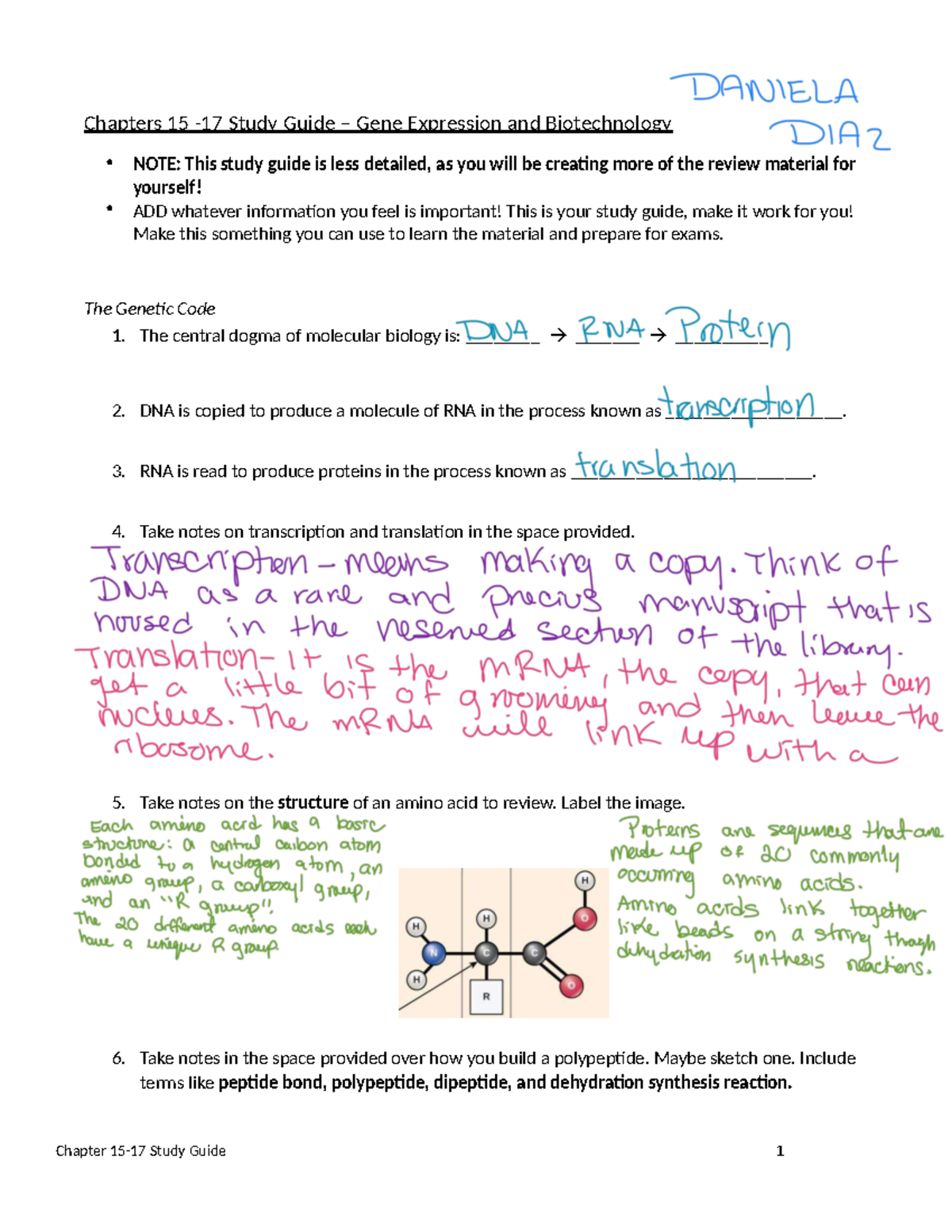 1140 Chapters 15-17 Gene Expression & Biotech Study Guide - Studocu