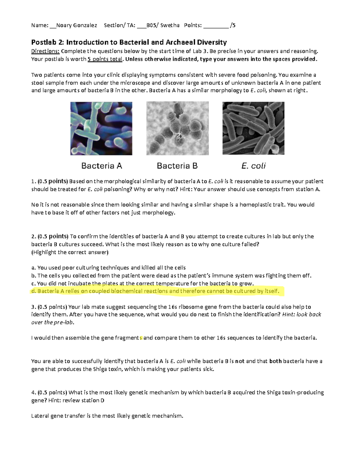 Post-Lab 2: Bacterial & Archaeal Diversity Analysis W25 28131258