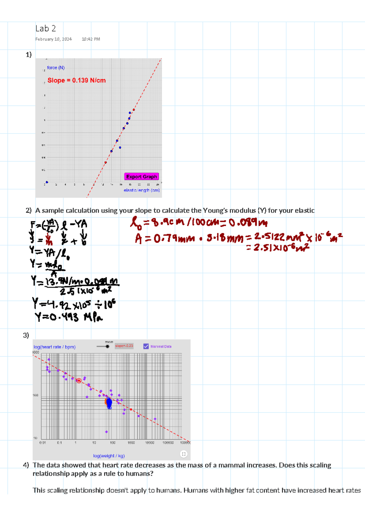 Phys 1080 - Lab 2 Report on Young's Modulus & Heart Rate Analysis - Studocu