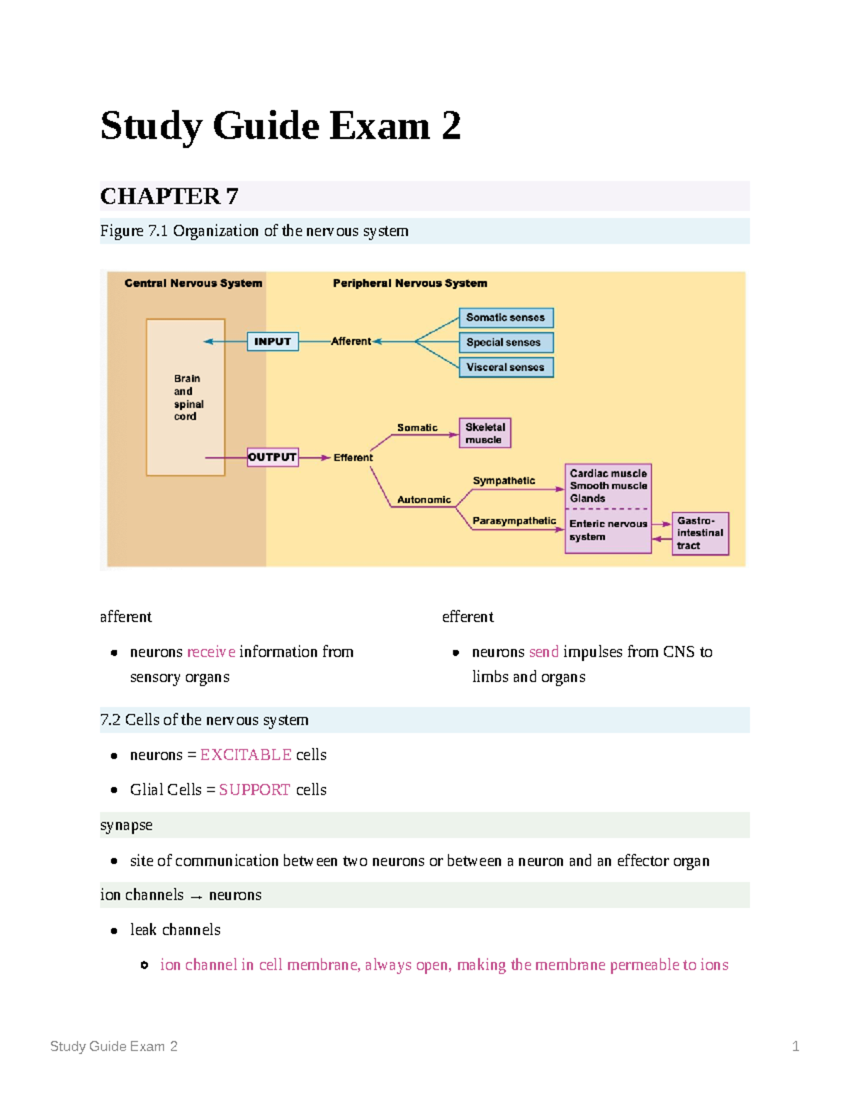 Study Guide for Exam 2 - Chapters 7 to 11 Overview - Studocu