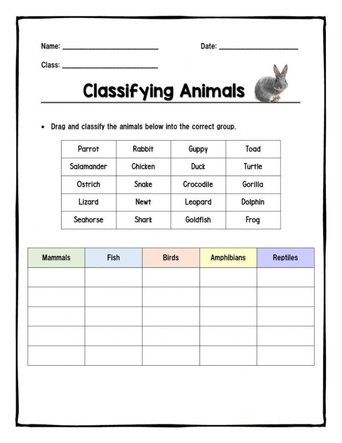 Animals Classification Exercise P1 - Practice Worksheet - Studocu