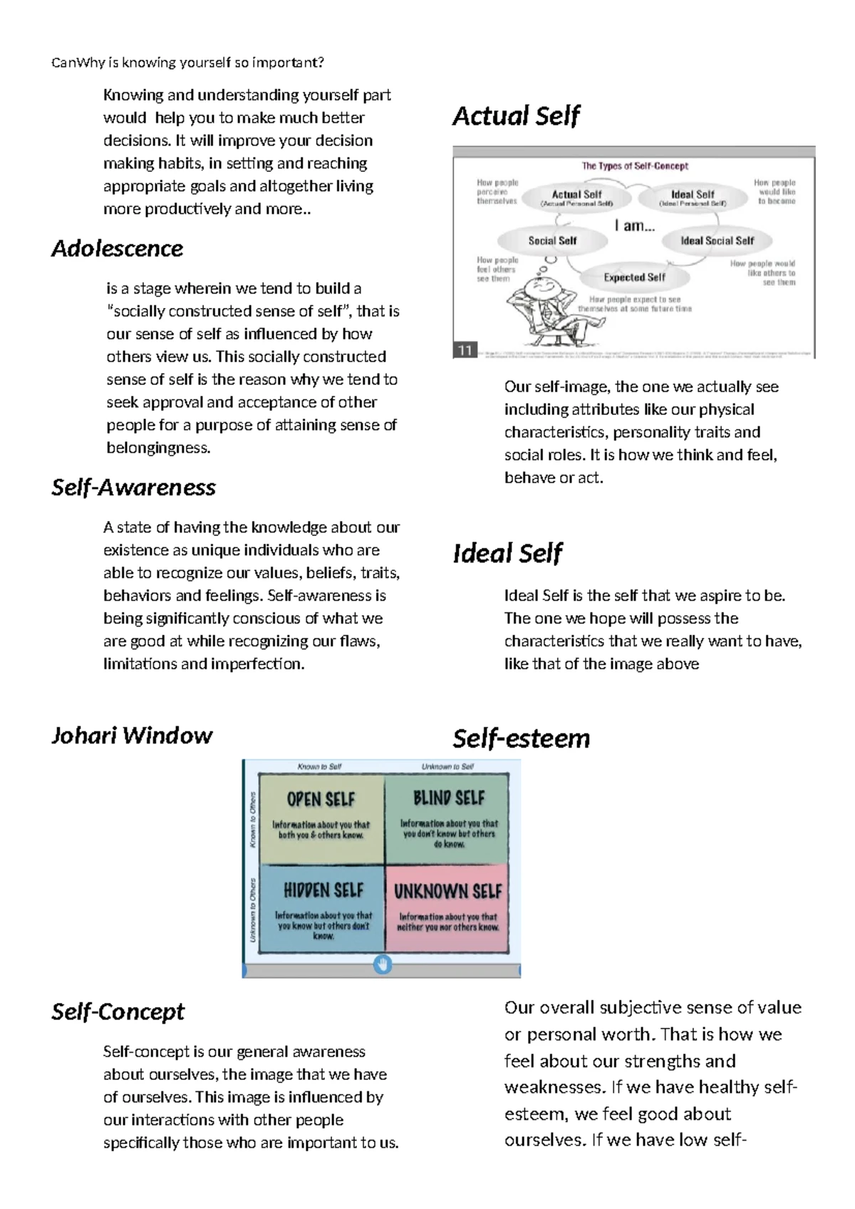 DVPSY Anki Flashcards: Key Concepts in Human Development - Studocu