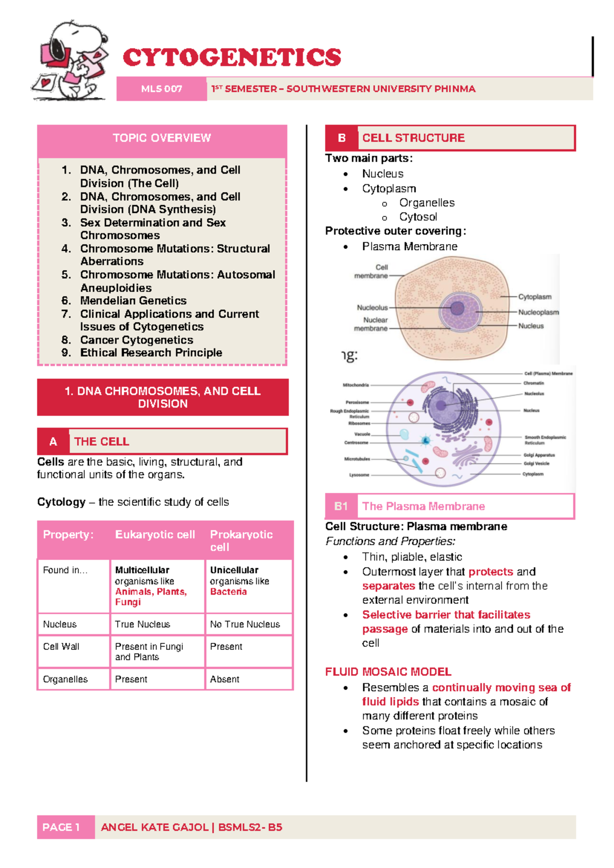 Cytogenetics Overview: Key Concepts in MLS 007 1st Sem - Studocu