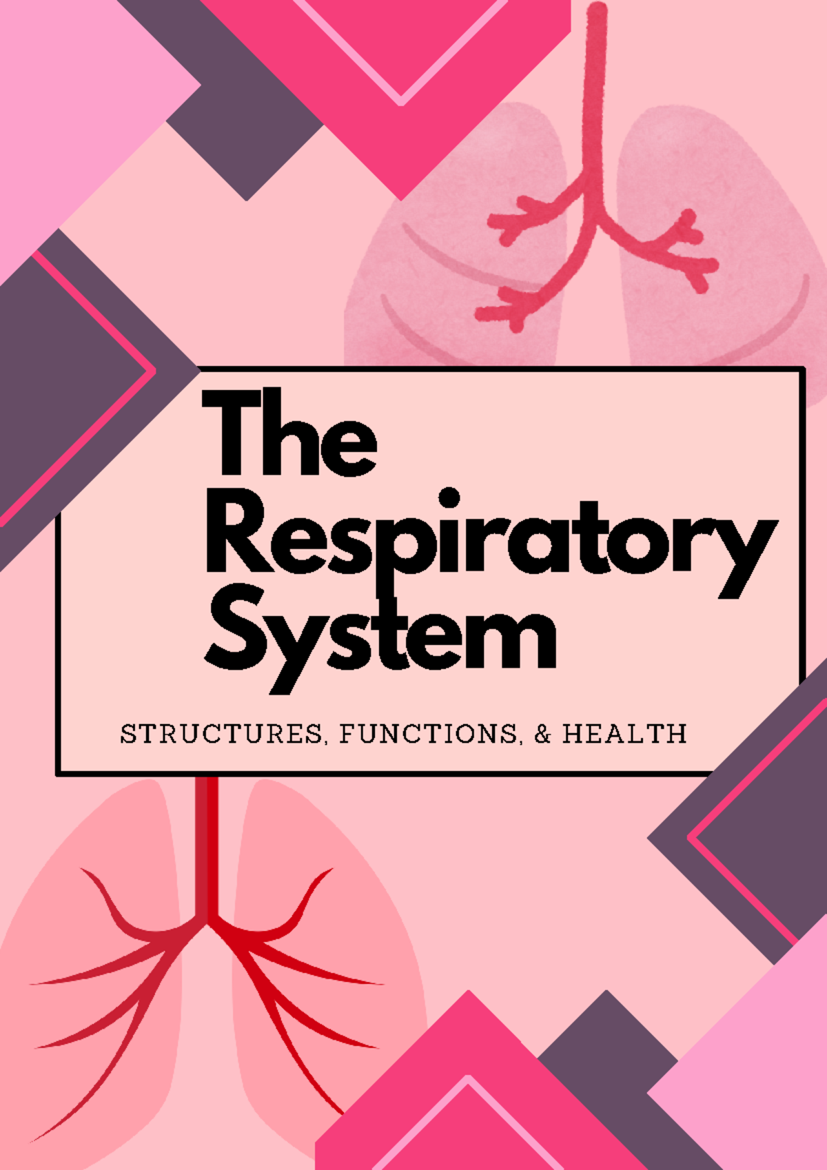 The Respiratory System - The Respiratory System STRUCTURES, FUNCTIONS ...