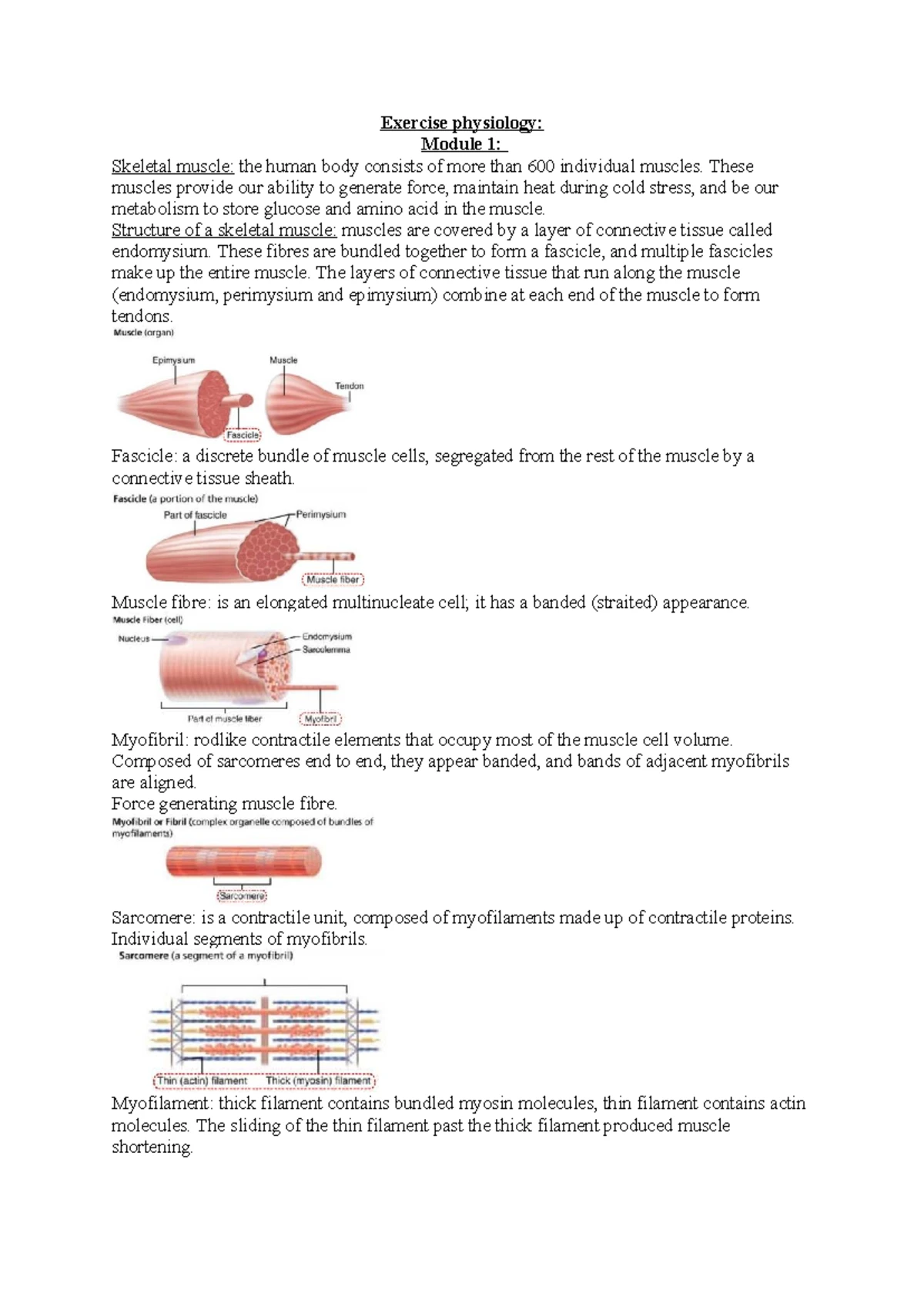 HSE201 Exercise Physiology Lab Manual: Muscle Contraction & Fatigue ...