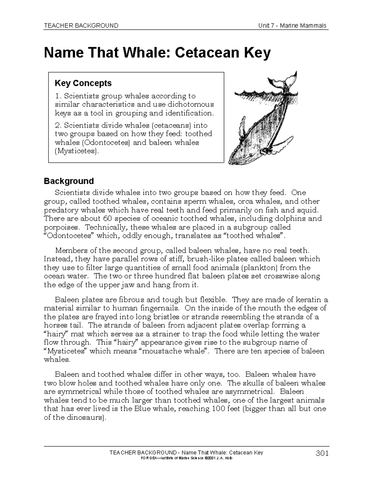 Unit 7 Marine Mammals: Whale Dichotomous Key Overview - Studocu