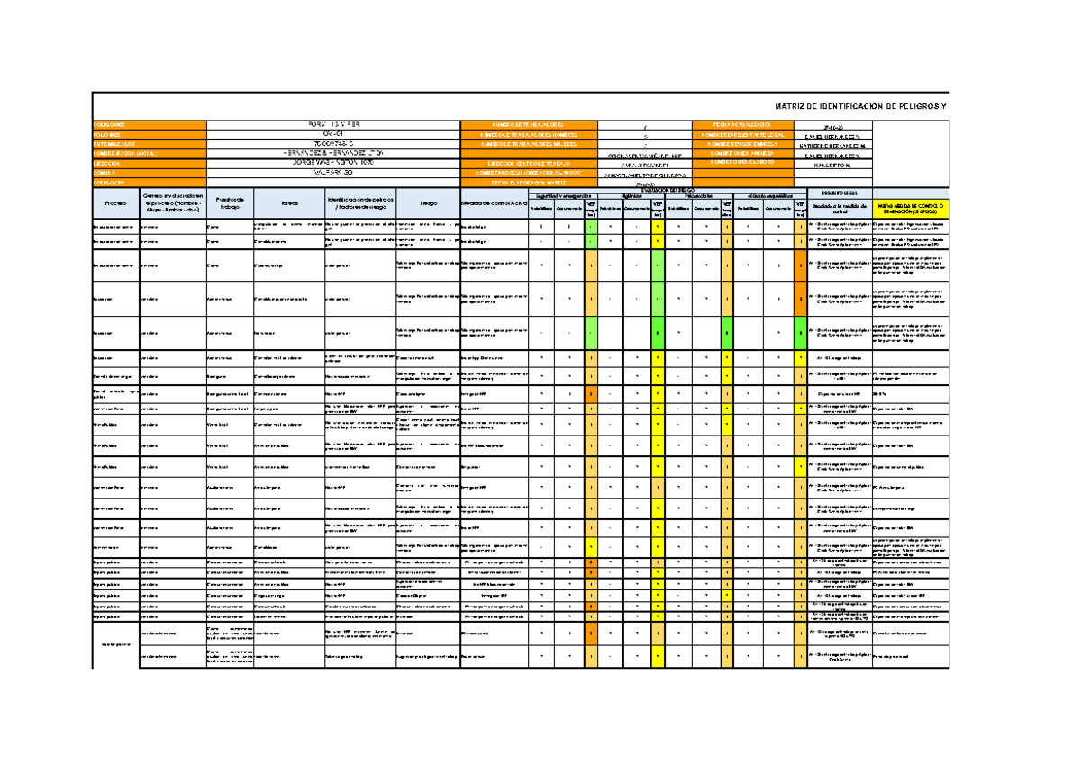 MATRIZ IPER: Identificación de Peligros y Evaluación de Riesgos V3 DS44 - Document Preview