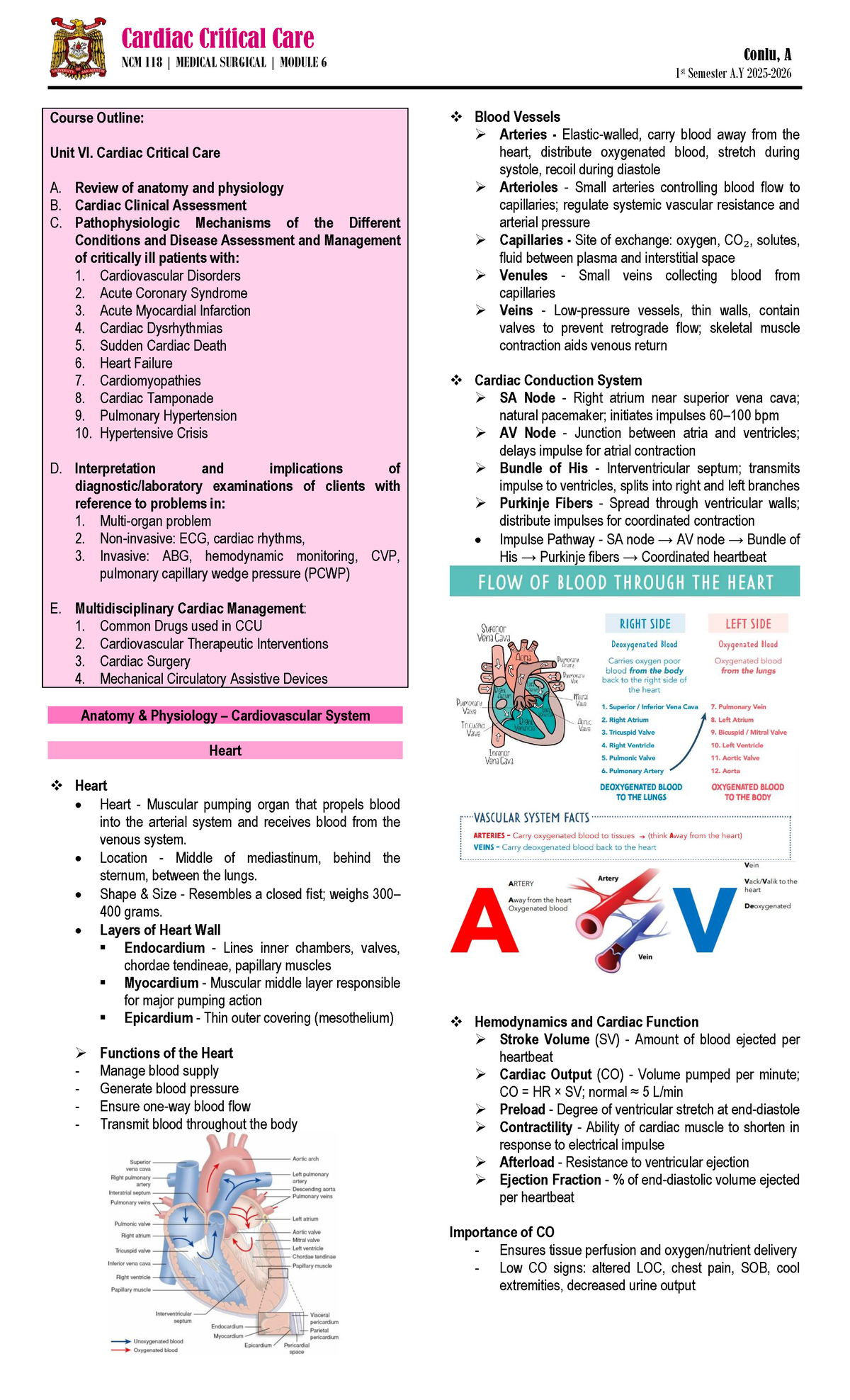 NCM 118 Medical Surgical Module 6: Cardiac Critical Care Notes - Studocu