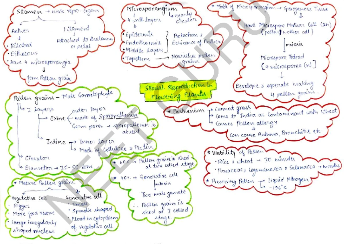 CNR Module 2: Comprehensive Notes on Water Resources - Studocu