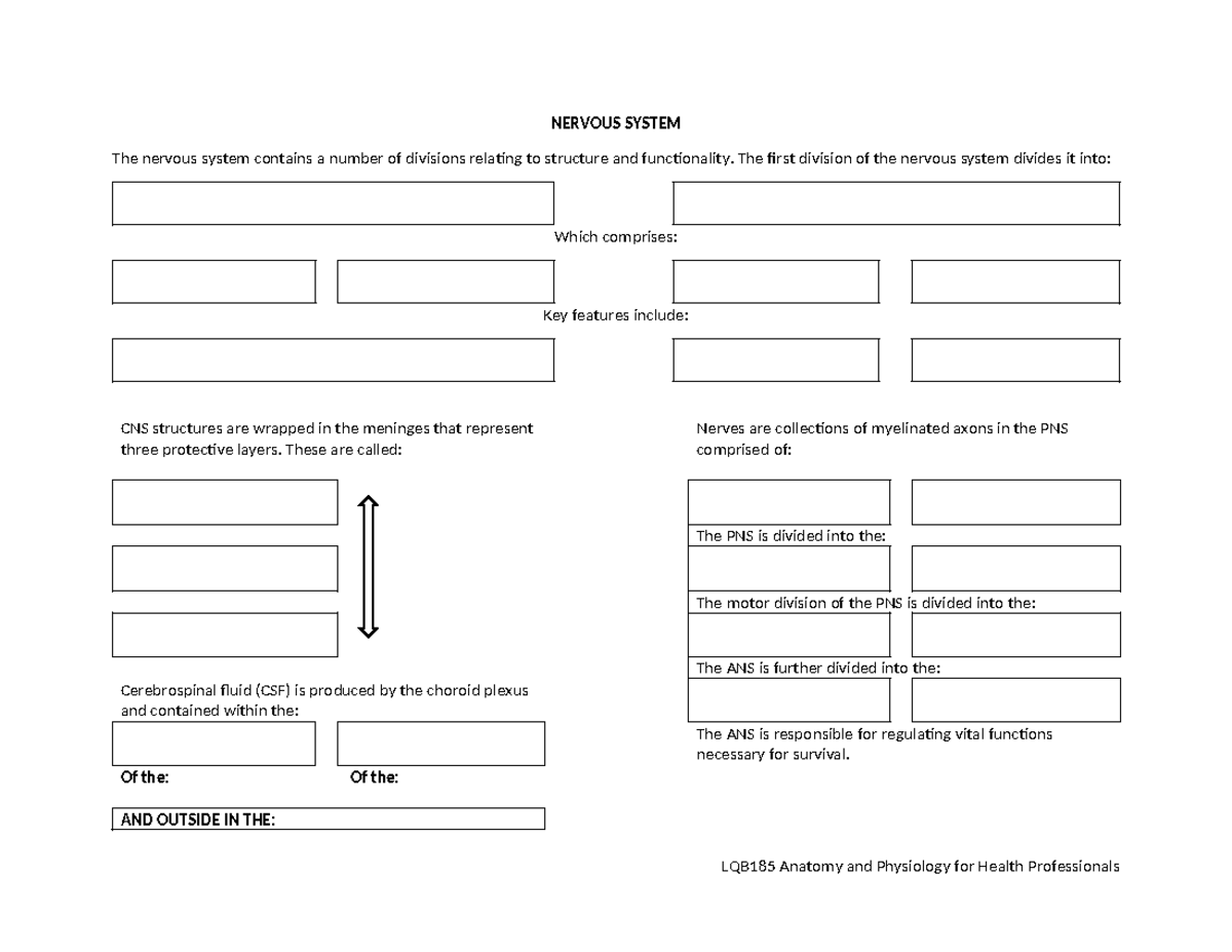 LQB185 Nervous System Worksheet: Key Divisions and Features - Studocu