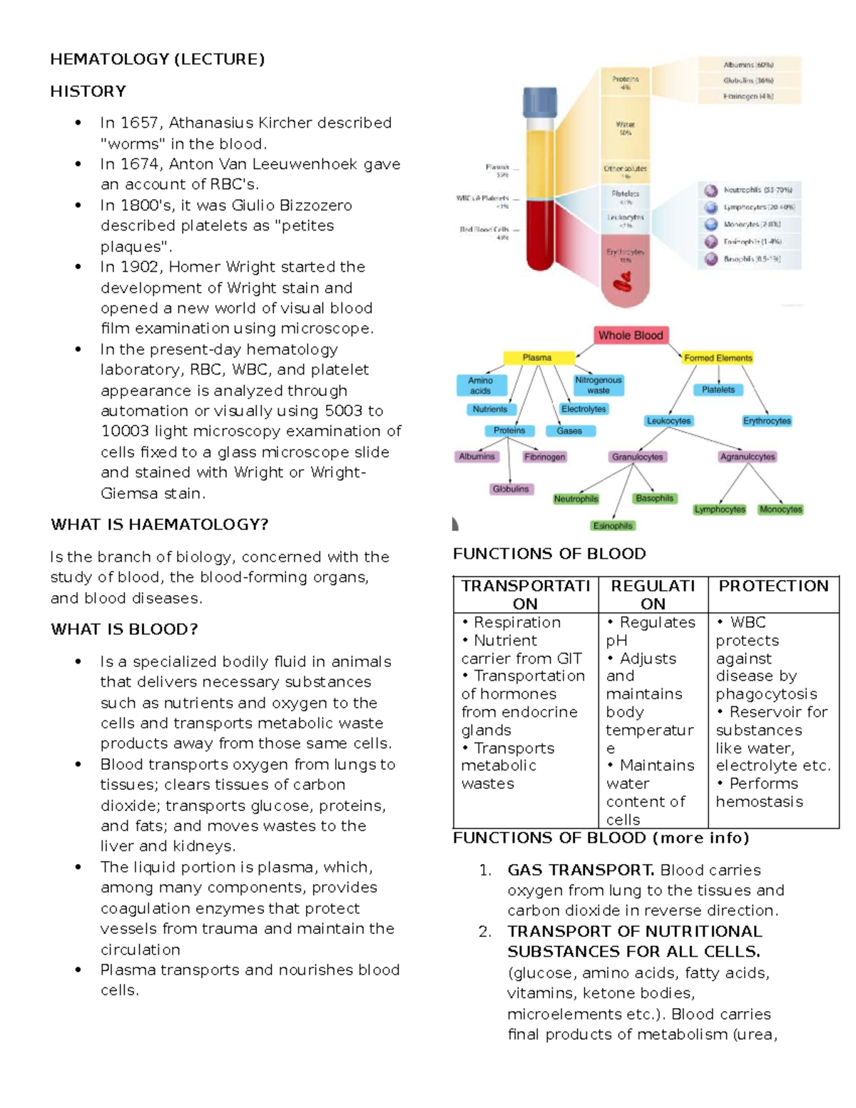 HEMATOLOGY (LECTURE) OVERVIEW: HISTORY, FUNCTIONS, AND SAFETY - Studocu